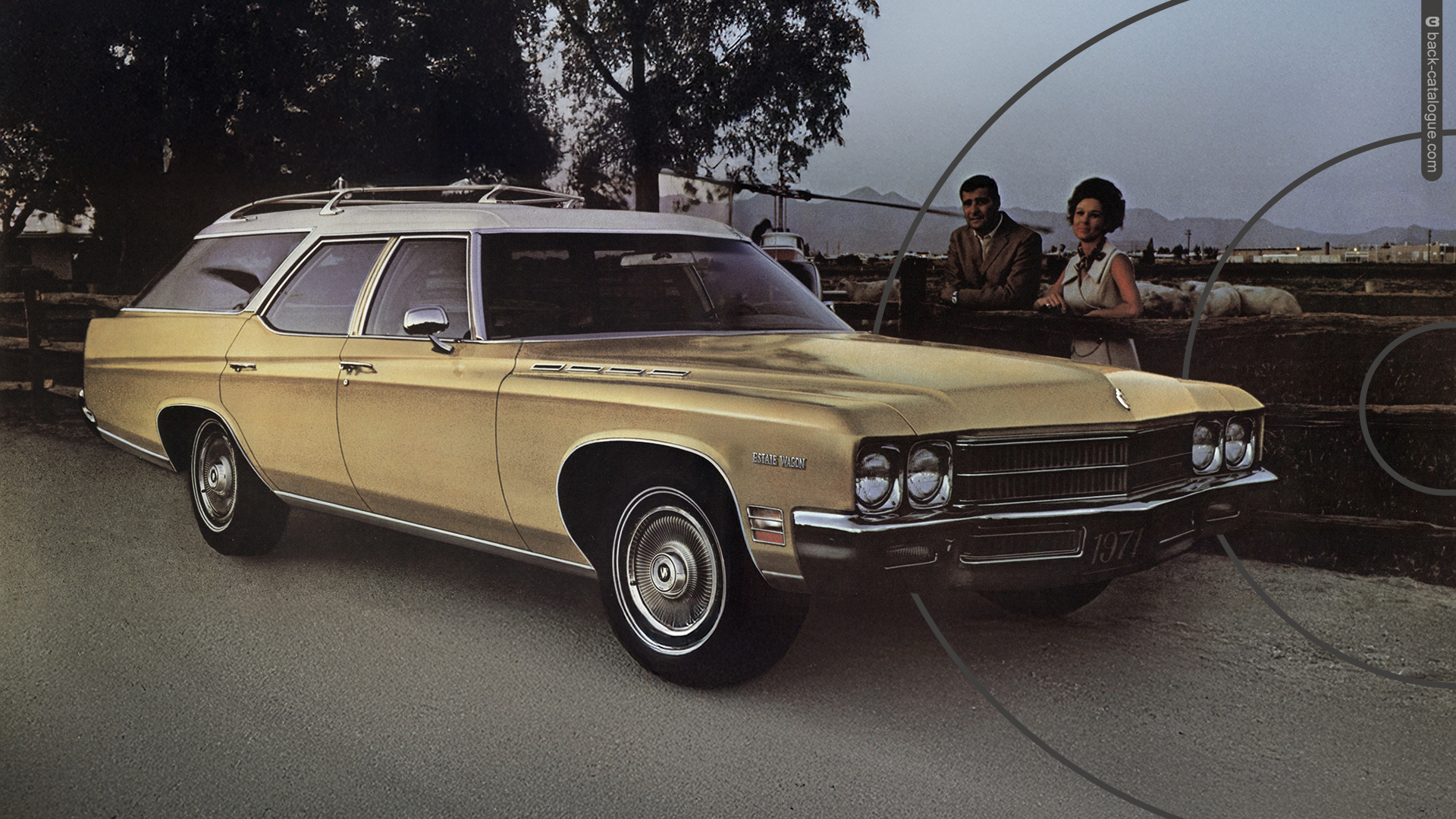 1971-buick-estate-wagon-gold-car-back-catalogue-1