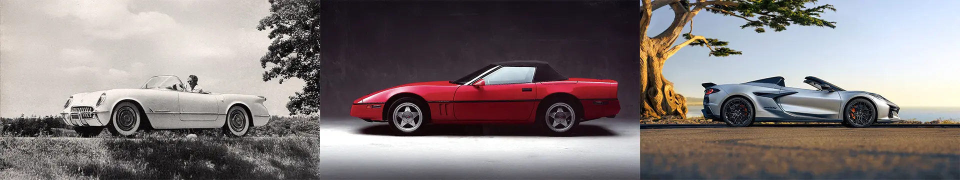 chevrolet-corvette-years-car-bacl-catalogue