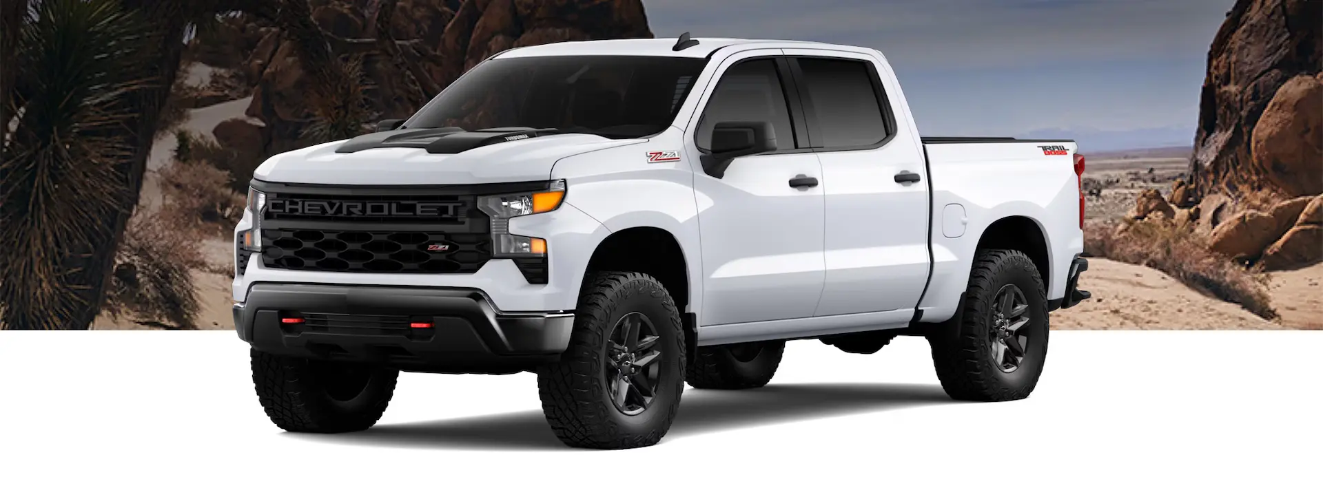 2025-chevrolet-silverado-custom-trail-boss-model-car-back-catalogue