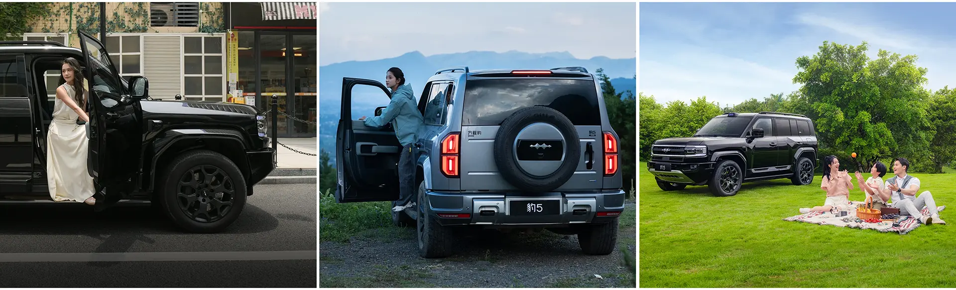 2025-denza-fang-cheng-bao-b5-dmo-1-car-back-catalogue