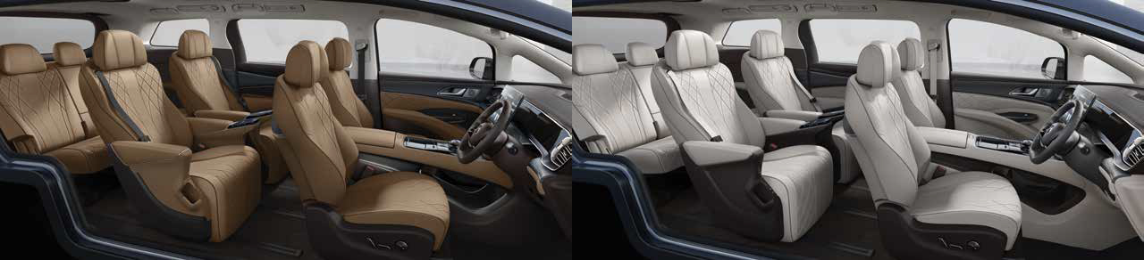 2024-denza-d9-interior-trim-car-back-catalogue-1