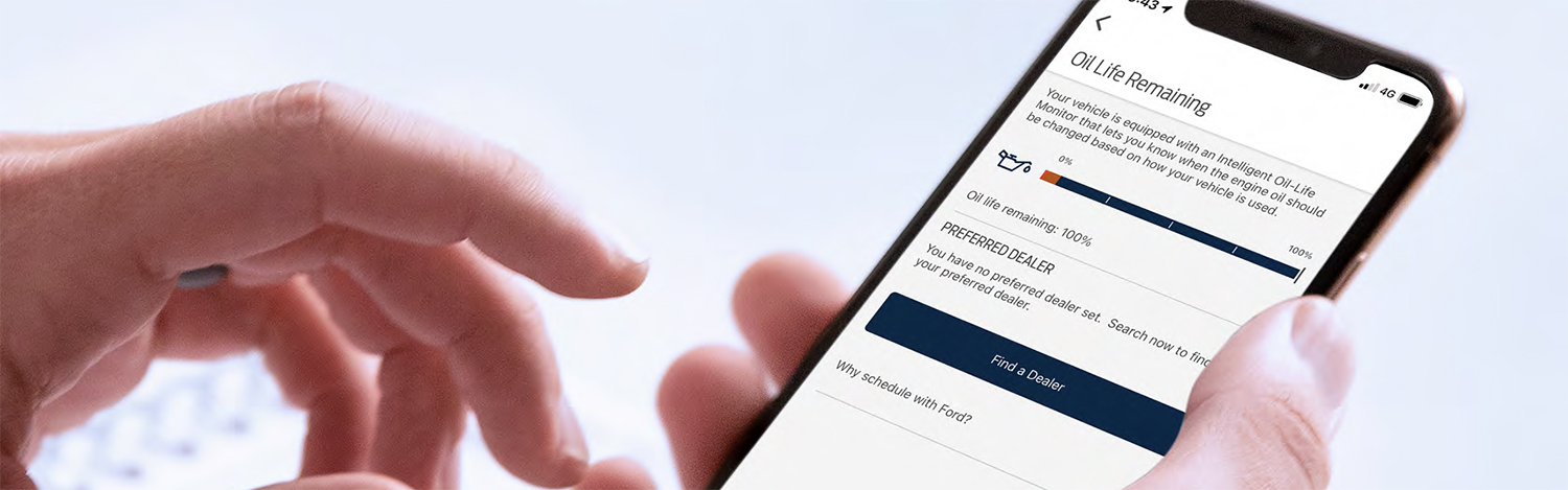 2025-ford-everest-service-car-back-catalogue