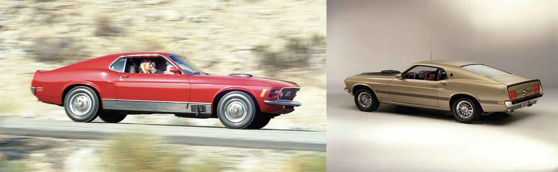 2021-ford-mustang-mach-1-heritage-2-car-back-catalogue-1