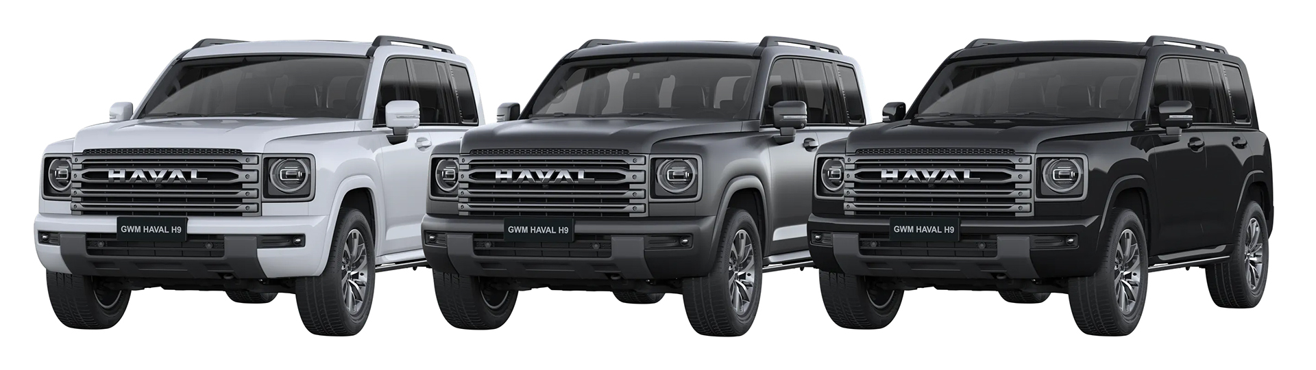 2025-gwm-haval-h9-colours-car-back-catalogue