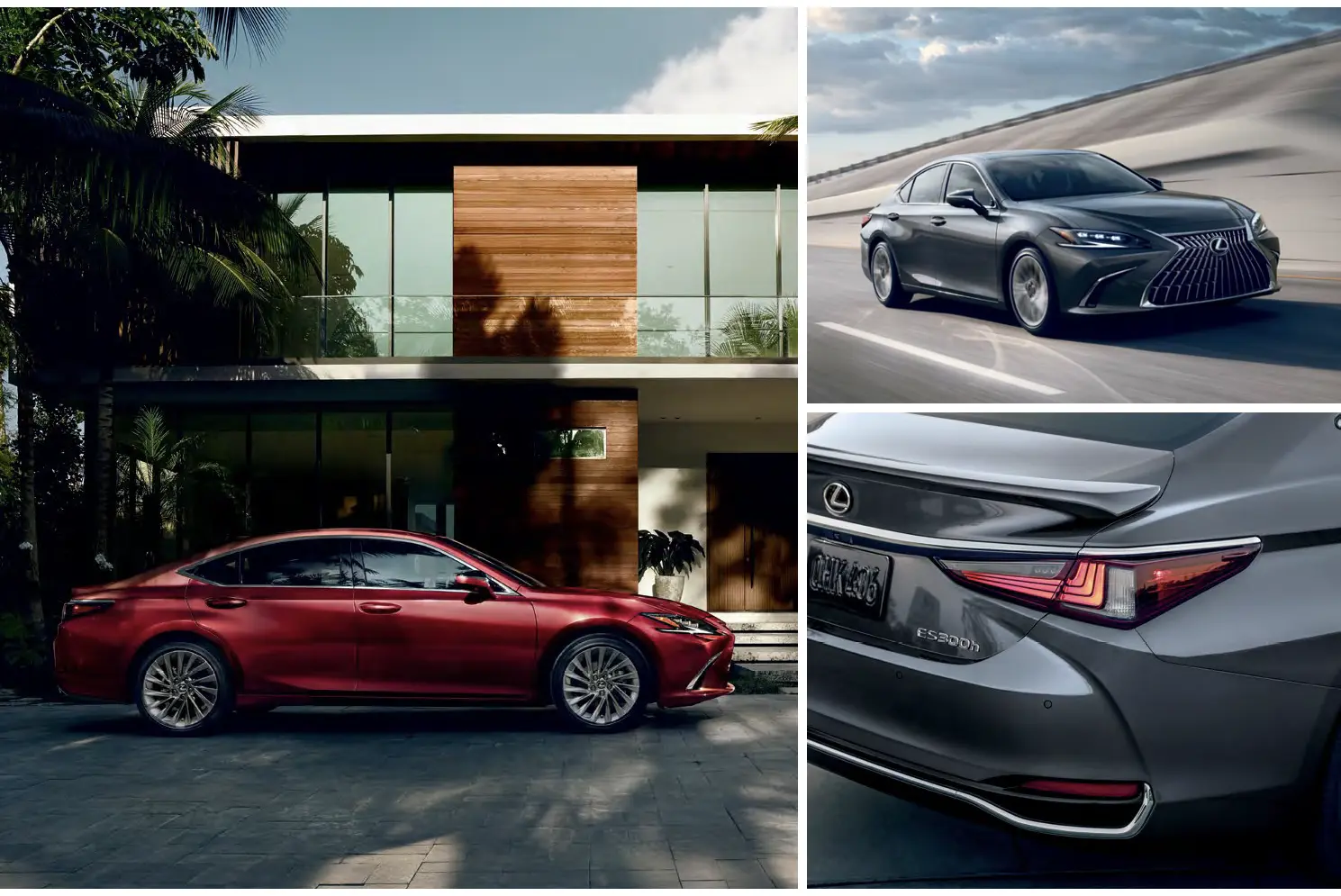 2025-lexus-es-design-car-back-catalogue