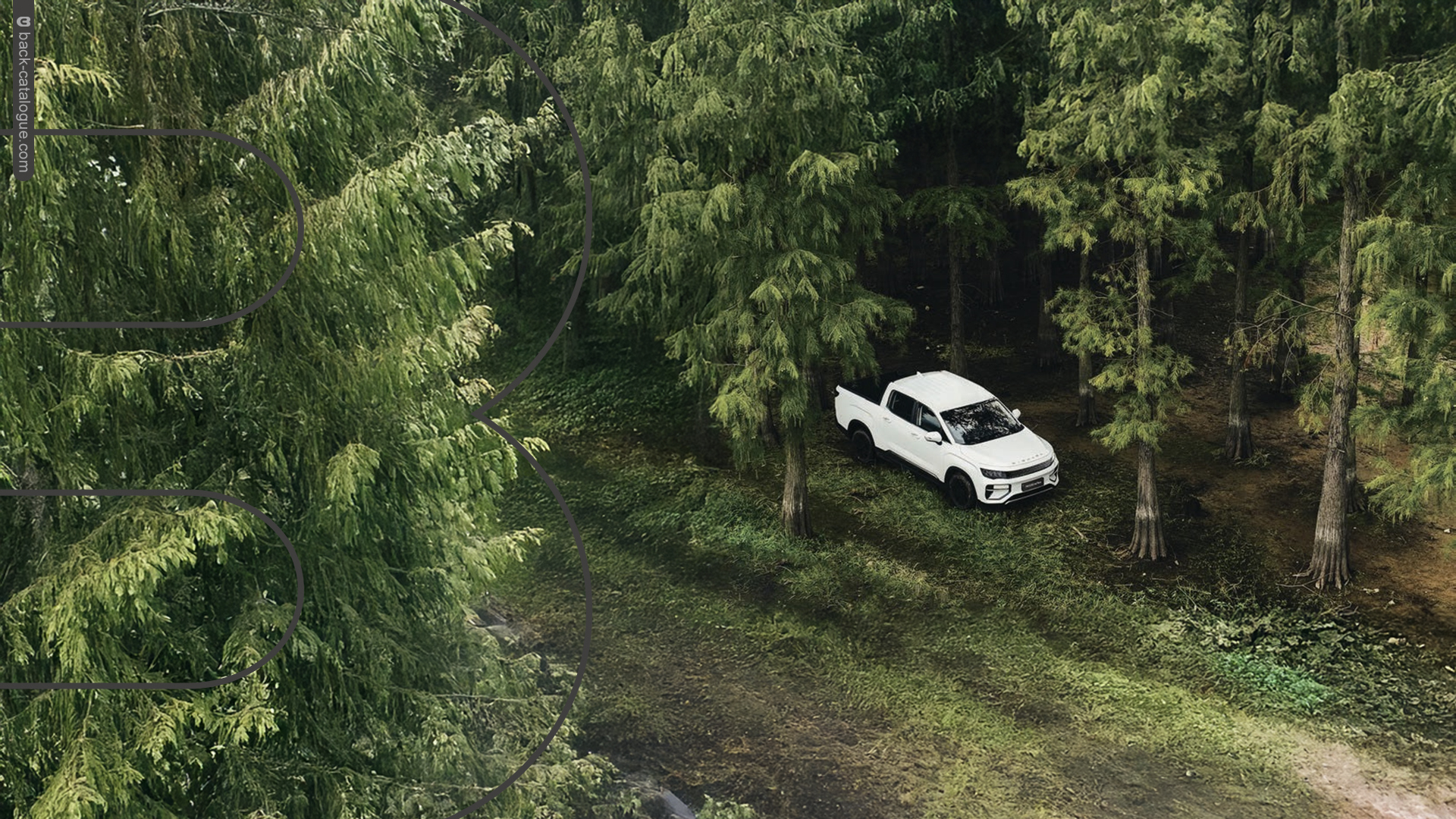 2024-riddara-rd6-ev-pickup-forest-car-back-catalogue-1