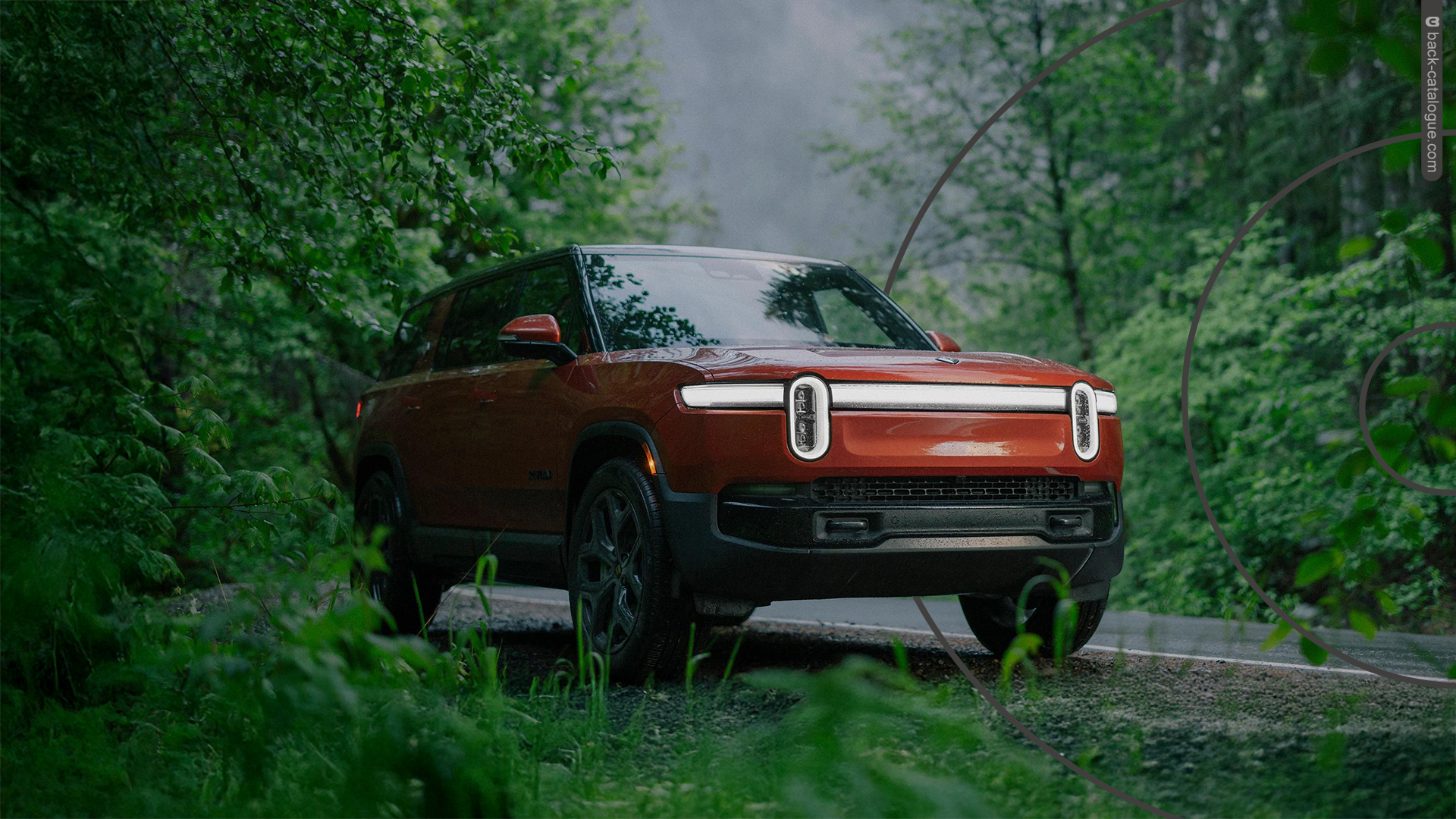 2025-rivian-r1s-forest-car-back-catalogue-1
