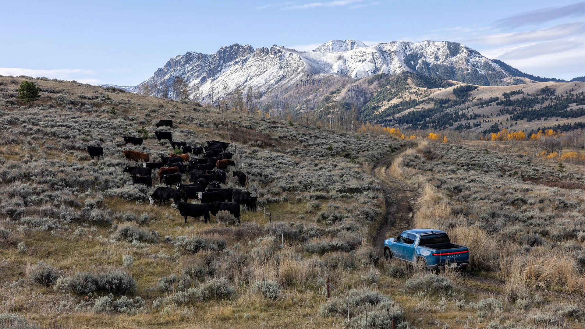 2025-rivian-r1t-snow-mountains-car-back-catalogue-1