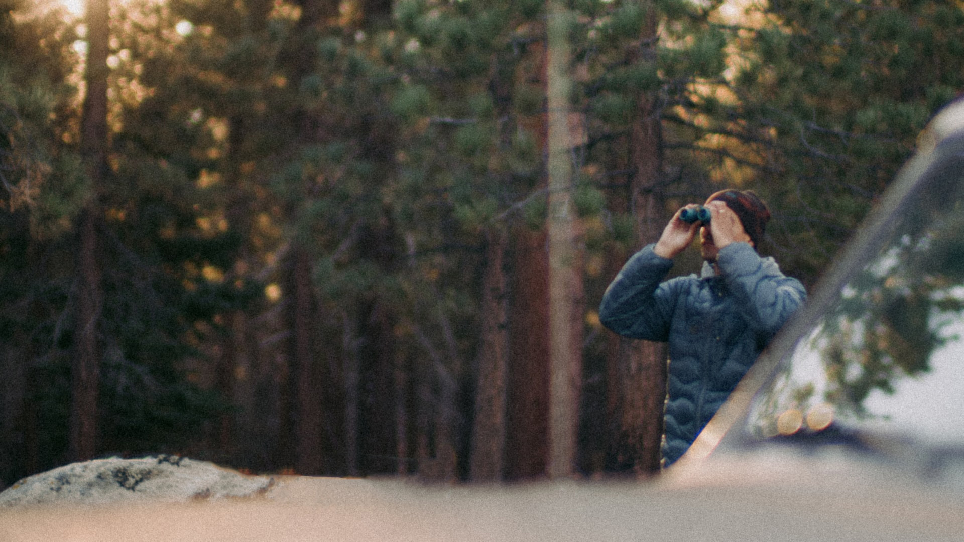 2025-scout-motors-traveler-lifestyle-car-back-catalogue