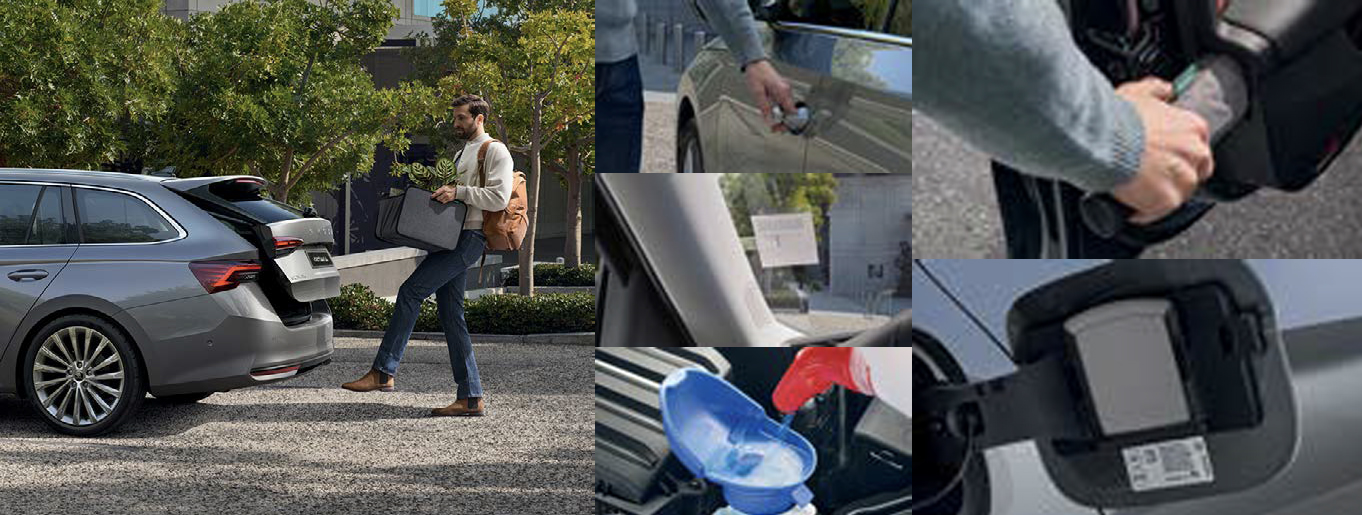 2025-skoda-octavia-innovation-features-1-car-back-catalogue