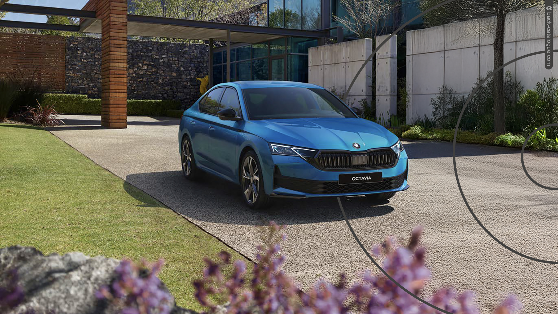 2025-skoda-octavia-sportline-front-car-back-catalogue