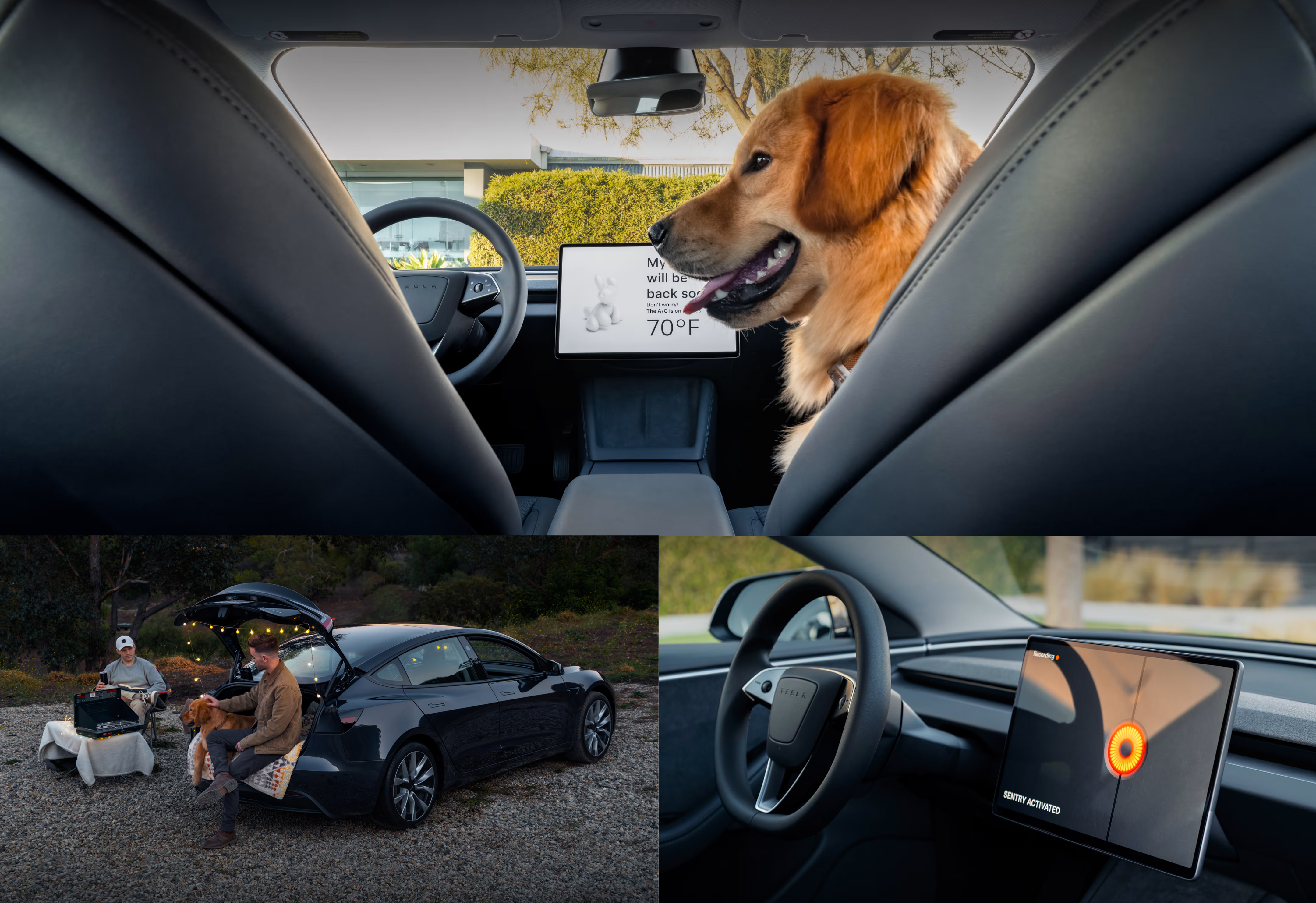 2025-tesla-model-3-modes-car-back-catalogue