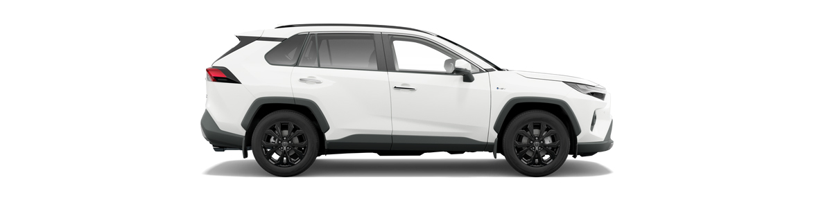 2025-toyota-rav4-cruiser-side-car-back-catalogue