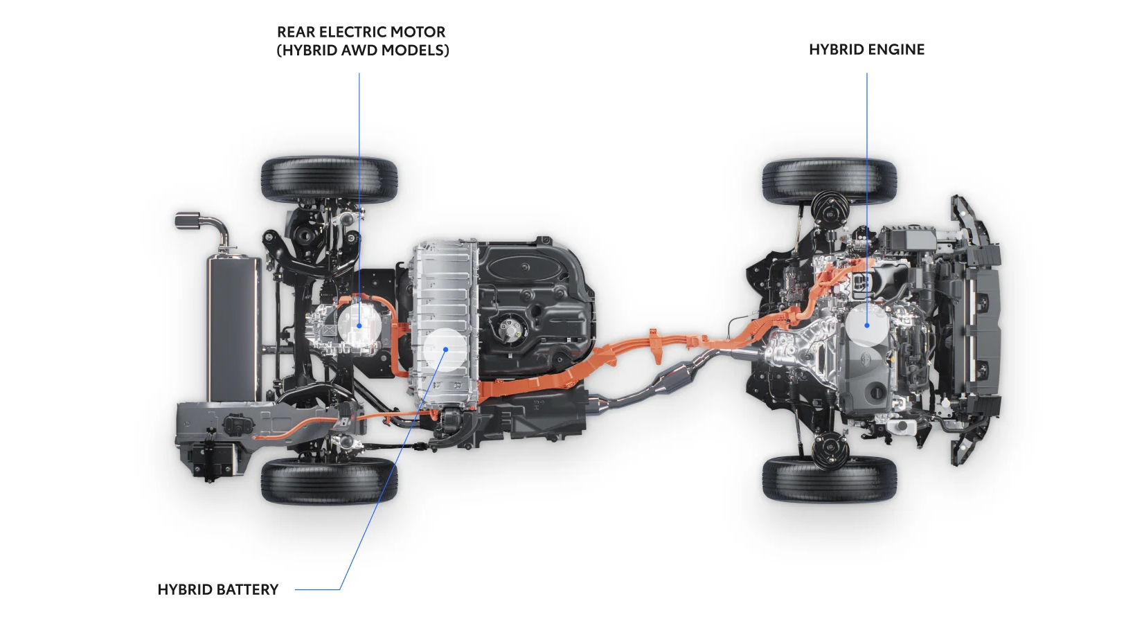 2025-toyota-rav4-hybrid-car-back-catalogue