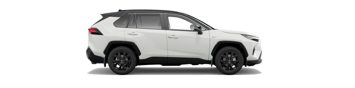 2025-toyota-rav4-xse-side-car-back-catalogue