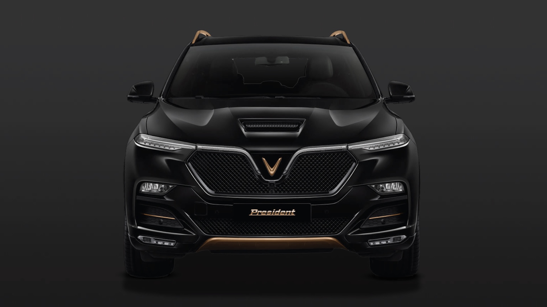 2020-vinfast-president-copper-car-back-catalogue-1